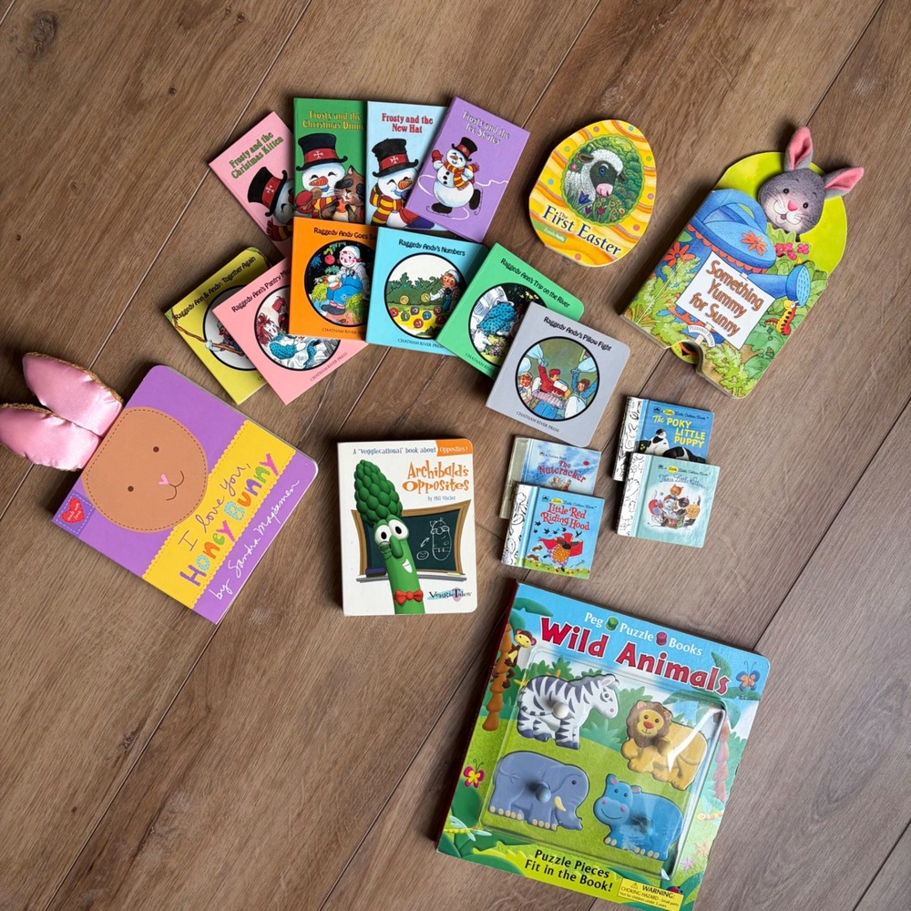 HUGE Lot of 19 Board Books and Mini Books